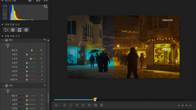 컬러디렉터 5 ColorDirector 5