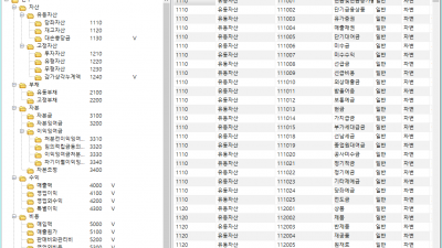 에스앤에스 이알피 v5 SnS ERP v5
