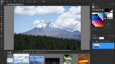 페인트샵 프로 for 알툴즈 PaintShop Pro for ALTools