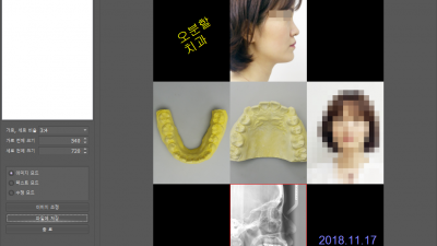 오분할 도구 Five Division Tool