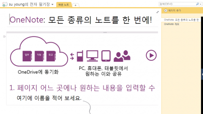 MS OneNote