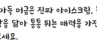 빙그레 싸만코체 Bold
