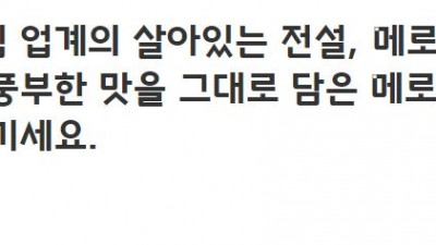 빙그레 메로나체 Bold