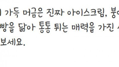 빙그레 싸만코체 Regular