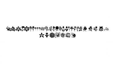 KR Blossoms 1