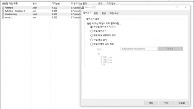 Prism 동영상 변환기