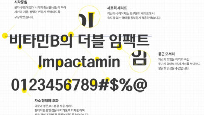 대웅제약 DW임팩타민체 DW Impactamin